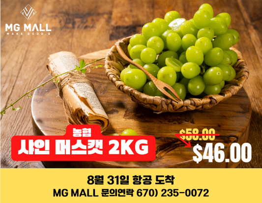 🔥8월 마지막주 과일-1🔥 샤인머스캣 2KG 🍈